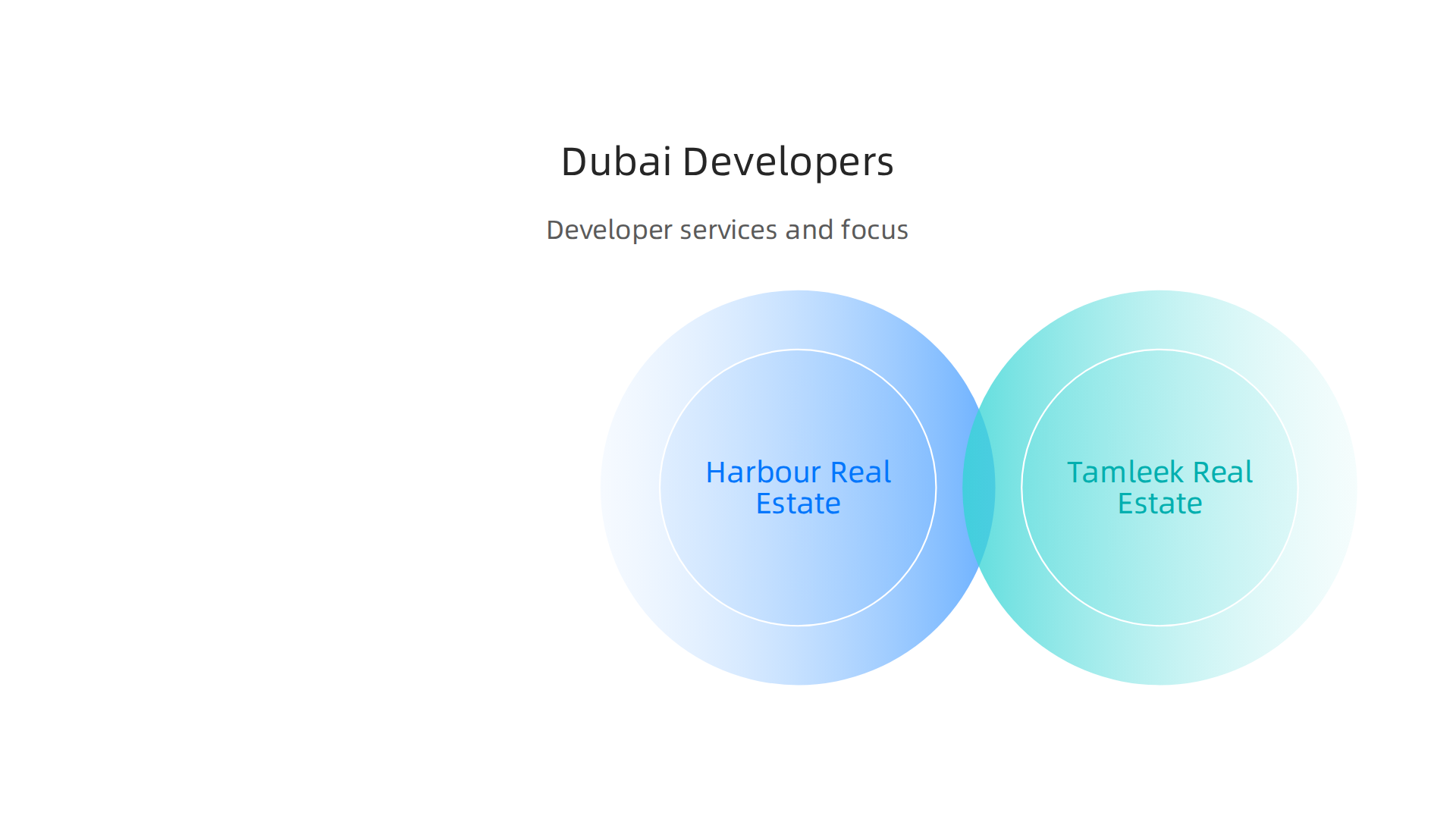 A visual overview of four prominent real estate companies in Dubai and their primary business focuses.
